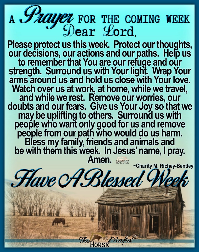 PrayerComingWeek01212018 - The Horse Mafia